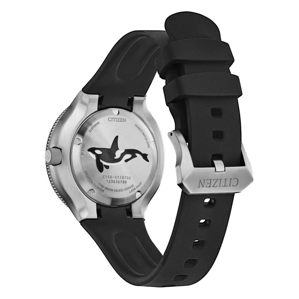 Citizen Eco-Drive Promaster Diver Orca Watch BN0230-04E | David