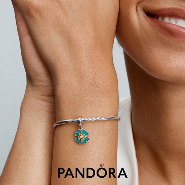 Pandora Charm & Bracelet